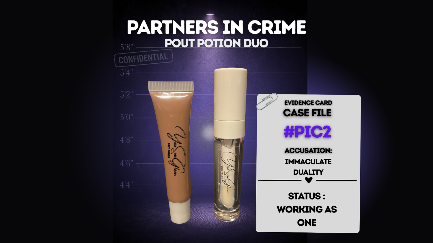 PARTNERS IN CRIME